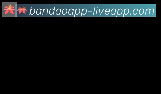 半岛体育app合作伙伴